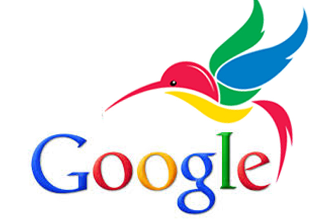 Google Hummingbird 1